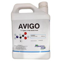 Advansia Avigo Amino Acid - ( 1L / 4L )