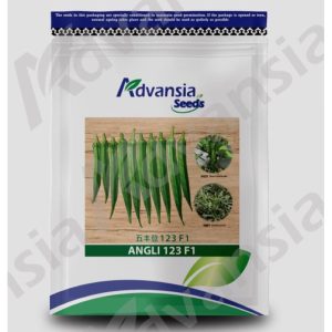 Benih Bendi Angli 123 F1 Advansia - ( 100g )
