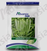 Benih Bendi Obsession 120 F1 Advansia  - ( 100g )