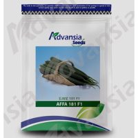 Benih Petola Affa 181 F1 Advansia - ( 100g )