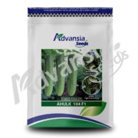 Benih Timun Ahulk 104 F1 Advansia - ( 100g )