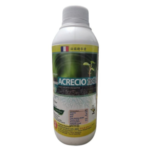 Brightonmax Acrecio - ( 1L & 5L)