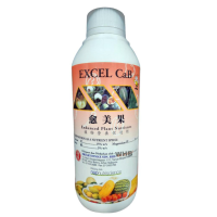 Brightonmax Excel CaB - ( 1L & 5L )