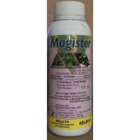 Brightonmax Magister - ( 500ml )