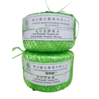 Tali Plastik Tanpa Air (Dehydrated Plastic String)  Tali Hijau Pertanian ( CH1500  CH K2300) ChiapHup - ( 400g )