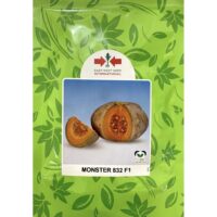 Benih Labu Kuning Pumpkin Monster 832 F1 East-West - ( 100g )