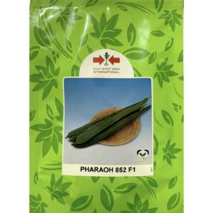 Benih Petola Pharaoh 852 F1 East-West - ( 100g )