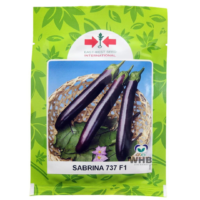 Benih Terung Sabrina 737 F1 Eggplant East-West - ( 10g )