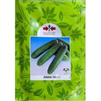 Benih Timun Swan 189 F1 East-West - ( 100g )