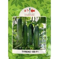 Benih Timun Tyreke 159 F1 East-West - ( 50g )