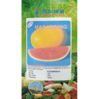 Benih Watermelon Mas Kuning S112 F-1 Hybrid Watermelon Known-You - ( 20g )
