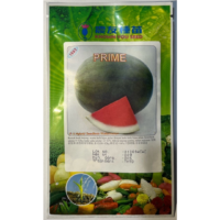 Benih Watermelon Prime 1693 F-1 Hybrid Seedless Known-You - ( 20g & 200g)