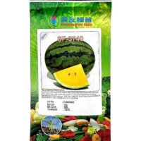 Benih Watermelon SF-3740 2177 F-1 Hybrid Watermelon Known-You - ( 20g )