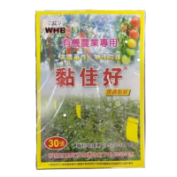Spartani Fly Traps Paper  Sticker Lalat Buah