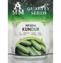 Benih Kundur ( AMM ) AM8310 - ( 100g )