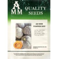 Benih Labu Pumpkin Mas ( AMM ) AM8008 - ( 200g )