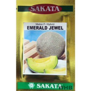 Benih Melon F-1 Hybrid Emerald Jewel Sakata - ( 100 seeds )