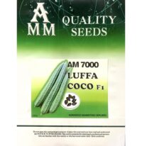 Benih Petola ( AMM ) AM7000 Luffa Coco F1 - ( 100g )