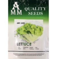 Benih Salad Lettuce ( AMM ) AM1699 - ( 20g )