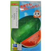 Benih Tembikai Merah Axia F1 Watermelon Sakata - ( 10g )