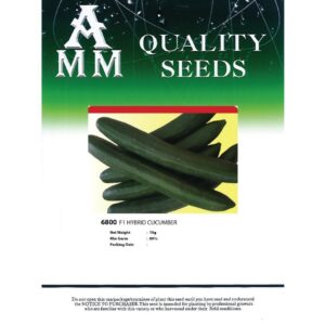 Benih Timun ( AMM ) 6800 F1 Hybrid Cucumber - ( 10g )
