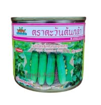 Benih Timun Mini Thailand F1 Hybrid Cucumber Seed Greenner - ( 50g )