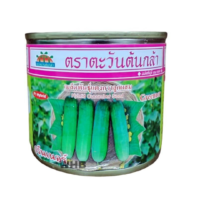 Benih Timun Thailand F1 Hybrid Cucumber Seed Premium - ( 50g )