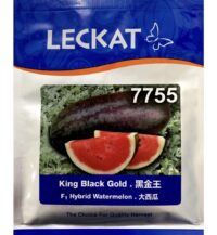 Benih Tembikai Merah King Black Gold 7755 F1 Hybrid Watermelon Leckat - ( 20g )
