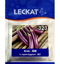 Benih Terung Mini Bride 323 F1 Hybrid EggPlant Leckat - ( 10g )