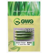 Benih Bendi Green Ocean G537 F1 Hybrid Okra Leckat - ( 200g )