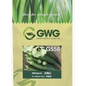 Benih Bendi Metapod G556 F1 Hybrid Okra Leckat - ( 200g )