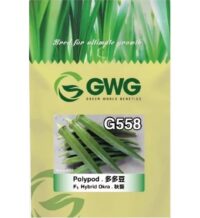 Benih Bendi Polypod G558 F1 Hybrid Okra Leckat - ( 200g )