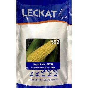 Benih Jagung Manis Sugar Rich 592 F1 Hybrid Sweet Corn Leckat - ( 500g )
