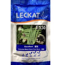 Benih Kacang Excellent E530 Selected Black Seed Pole Bean Leckat - ( 200g )
