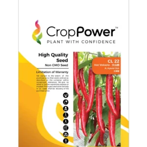 Benih Cili CL22 Hot Volcano F1 Hybrid Chili Crop Power - ( 10g )