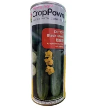Benih Timun DC777 Black Steel F1 Hybrid Cucumber Crop Power - ( 100g )