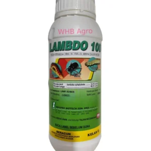 Imaspro Lambdo 100 - ( 1L )