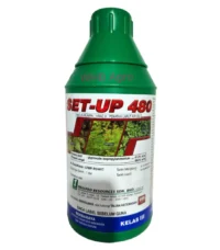 Imaspro Set-Up 480 - ( 1L )