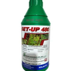 Imaspro Set-Up 480 - ( 1L )
