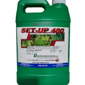 Imaspro Set-Up 480 - ( 4L )