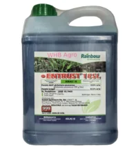 Rainbow Entrust 18 SL - ( 4L )