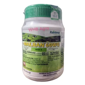 Rainbow Malban 60 WG - ( 150g )