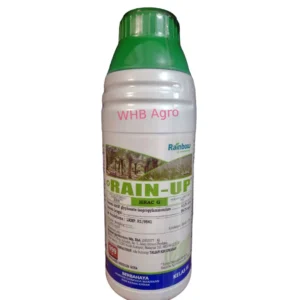Rainbow Rain-Up - ( 1L )