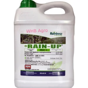 Rainbow Rain-Up - ( 4L )