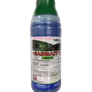 Rainbow Rainbast 15 - ( 1L )