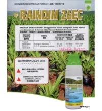 Rainbow Raindim 26 EC - ( 1L )