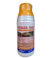 Rainbow Teaza 500 - ( 500ml )