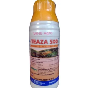 Rainbow Teaza 500 - ( 500ml )
