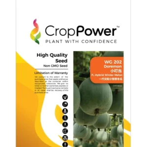 Benih Kundur WG202 Doremon F1 Hybrid Winter Melon Crop Power - ( 20g )