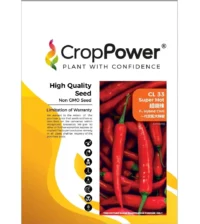 Benih Cili CL33 Super Hot F1 Hybrid Chili Crop Power - ( 10g )